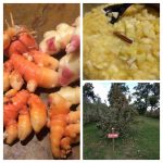 Ginger Turmeric Applesauce
